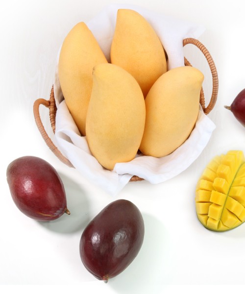 [정성담은] 항공직송 망고 혼합선물세트 3.4kg(9과) A